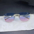 Cobra X Ombré- Xavier glasses