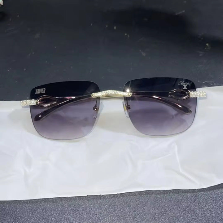 Cobra X Purple - Xavier glasses
