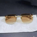 Cobra X - Xavier glasses