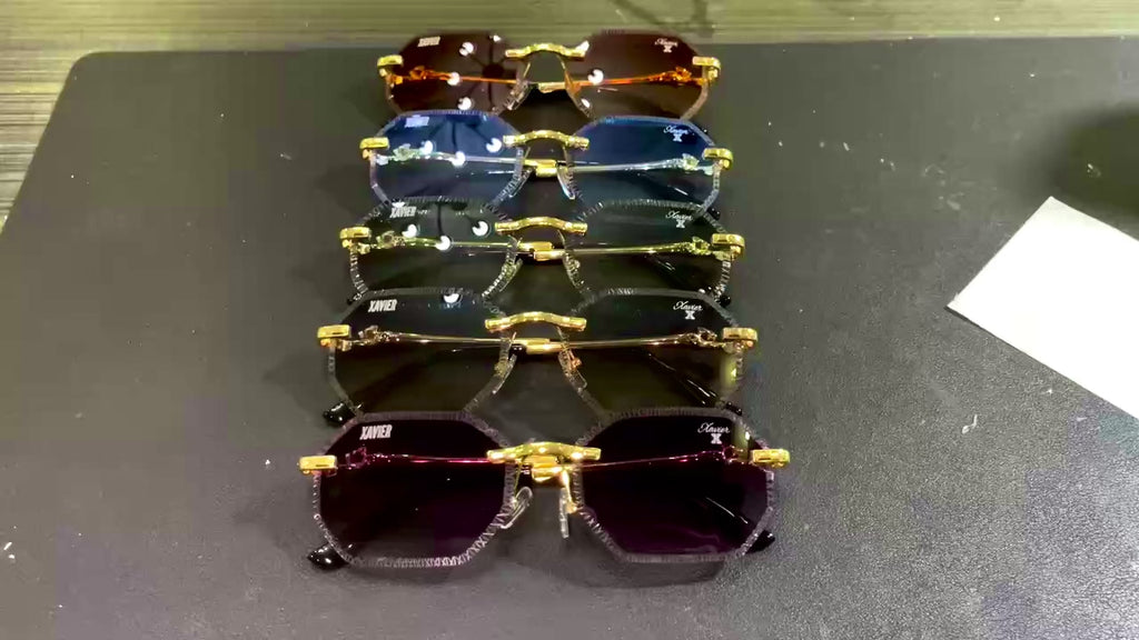 Xavier Panther X glasses